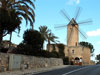 Mallorca Can Picafort Mallorca Can Picafort