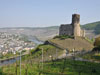 Mosel-Radweg Mosel-Radweg