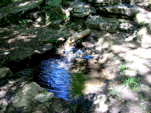 Quelle des Roten Mains Quelle des Roten Mains