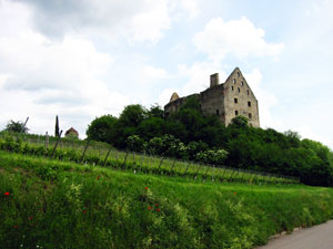 Schloss-Ruine Burkheim