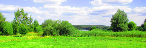 Naturschutzgebiet Rothsee